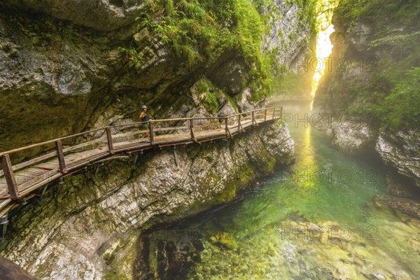 Female tourist walking along a wooden path in vintgar gorge, slovenia, admiring the stunning radovna river on a summer day