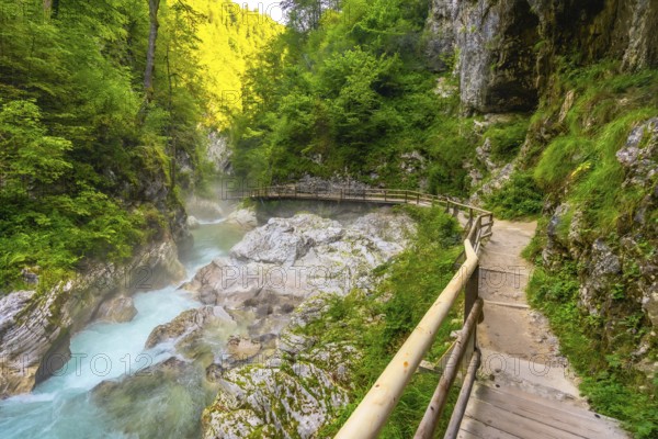 Scenic wooden walkway winding through the stunning vintgar gorge near bled, slovenia, offering breathtaking views of the radovna river
