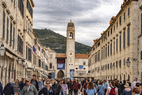 Main promenade Stradun or Placa and the landmark bell tower in Dubrovnik, Croatia, Europe