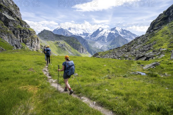 Hikers on a hiking trail, behind the summit of the Grand Combin, Val de Bagnes, Valais, Switzerland, Europe