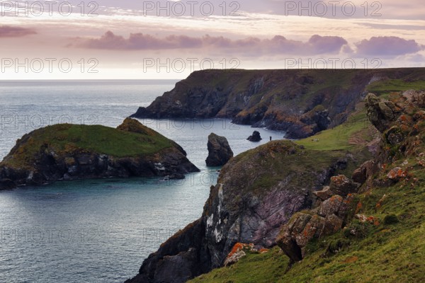 Rocky coast at Kynance Cove, evening sky, Mount's Bay, Lizard Peninsula, Cornwall, England, Great Britain