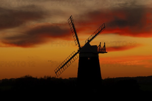 Windmill silhouette at sunset with a red sky and clouds and a flock of Lapwing flying behind, Burnham Ovary Staithe, Norfolk, England, United Kingdom, Europe