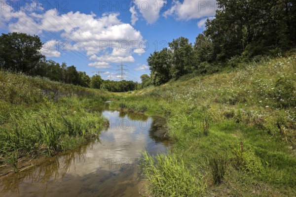 Bottrop, North Rhine-Westphalia, Germany, Renaturalised Boye, the tributary of the Emscher, has been transformed into a near-natural watercourse, flood protection through newly designed flooding areas, the Boye is now free of wastewater following the construction of a parallel sewer, is part of the Emscher river system and thus part of the Emscher conversion, was previously an open, above-ground wastewater channel, mixed water channel with surface water and wastewater. Wind turbine on the Mottbruch spoil tip at the back, Europe