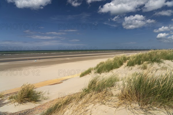 Dunes on the beach of Leffrinckoucke on the Côte d'Opale or Opal Coast, France, Europe