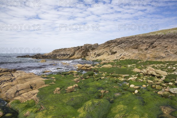 Rocky west coast of the Quiberon peninsula in Brittany, France, with a partly cloudy sky and algae covered rocks, Europe