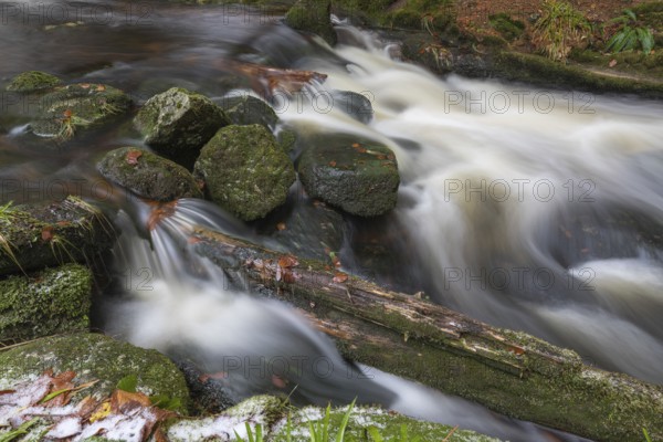 Kleine Ohe creek below Waldhaeuser village in the Bavarian Forest Nationalpark. Flowing water and fallen trees