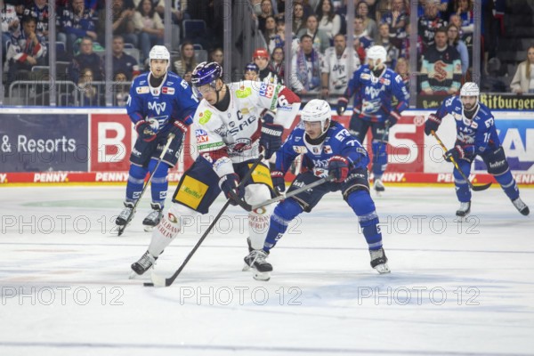 DEL, German Ice Hockey League season 2024/25, matchday 52: Adler Mannheim vs Eisbären Berlin***Picture: Duel between Kai Wißmann (6, Berlin) and Daniel Fischbuch (71, Mannheim)