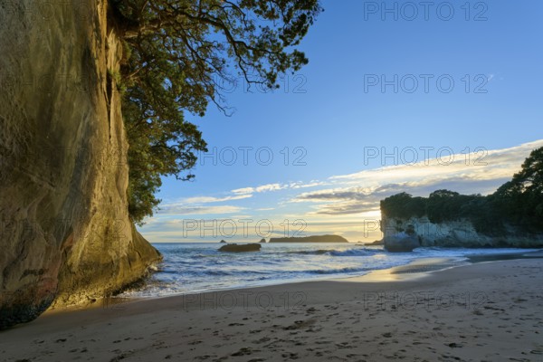 Beach with jagged rocks and calm sea, the sky is bathed in warm colours, Cathedral Cove, Coromandel, Canterbury, North Island, New Zealand, Oceania