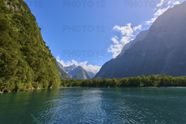 Calm waters between forested slopes and towering mountains under a clear sky, fjord landscape, summer, Milford Sound, Te Anau, Fiordland National Park, South Island, New Zealand, Oceania