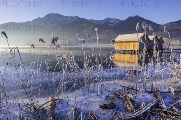 Boat huts, icy shore, lake, morning light, fog, snow, winter, mountains, Lake Kochel, Schlehdorf, behind Herzogstand, Heimgarten, Alpine foothills, Bavaria, Germany, Europe