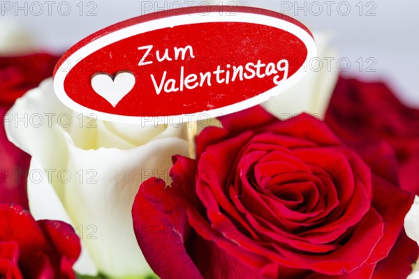 Valentine's greetings: Warm Valentine's Day greetings with a bouquet of white and red roses