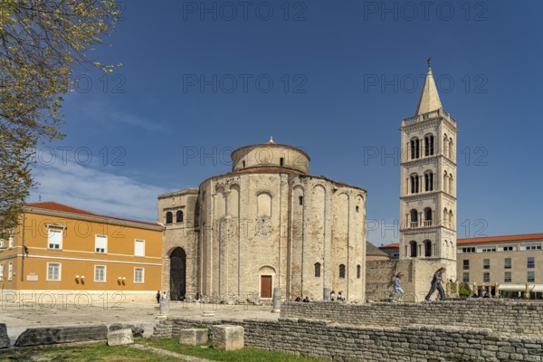 The Church of St Donatus, remains of the Roman forum and the bell tower of Zadar Cathedral, Croatia, Europe