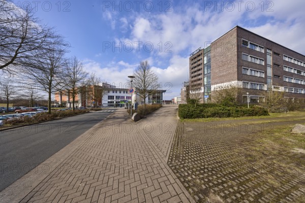 Town hall, trees, hedge, lantern, pavement made of concrete paving stones, asphalt road, blue sky with cumulus clouds, town hall square, Garbsen, Hanover region, Lower Saxony, Germany, Europe