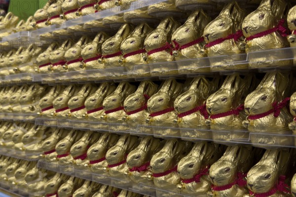 Display on retail shelf wholesale of large quantity of chocolate Easter bunnies chocolate Easter bunnies chocolate Easter bunnies wrapped in golden gold coloured staniol paper, Germany, Europe