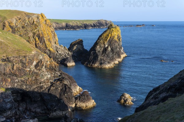 Coastal landscape in Kynance Cove. Evening, golden hour. Kynance Cove, Lizard Peninsula, Cornwall, England, Great Britain