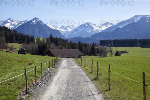 Path through meadows between Rubi and Oberstdorf, behind mountains of the Allgäu Alps, Oberallgäu, Allgäu, Bavaria, Germany, Europe