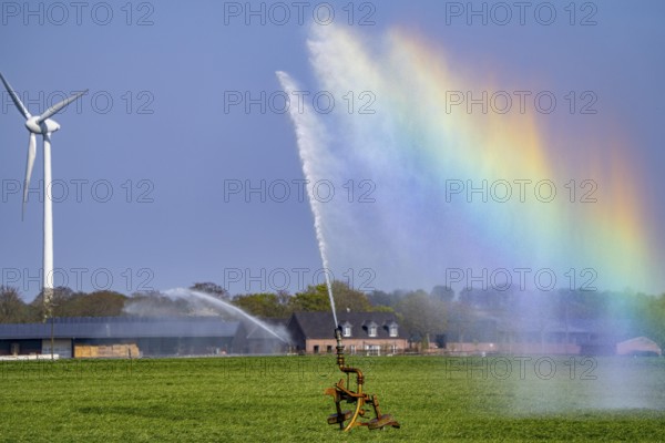 Artificial irrigation of a cereal field in April, with a sprinkler system, long dry spell in spring makes this necessary for the young plants to grow well, Kerken, Lower Rhine, North Rhine-Westphalia, Germany, Europe