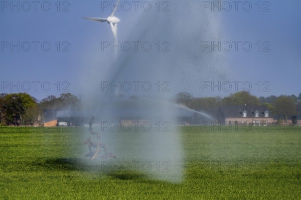 Artificial irrigation of a cereal field in April, with a sprinkler system, long dry spell in spring makes this necessary for the young plants to grow well, Kerken, Lower Rhine, North Rhine-Westphalia, Germany, Europe