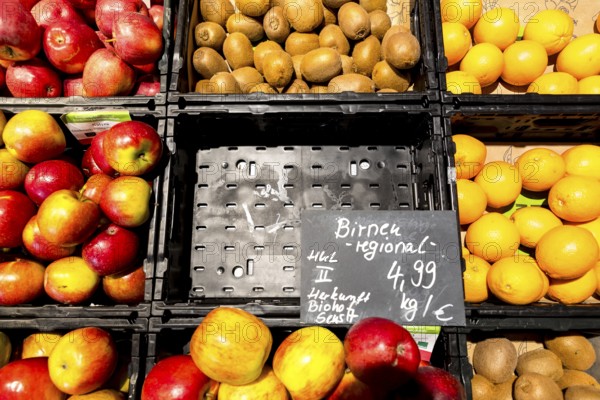 Fruit counter in a supermarket or organic food shop, here with different types of apples, kiwis, oranges and an empty compartment for pears