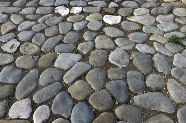 Path paved with natural stones, Samtavissi, Inner Kartlia, Georgia, Asia