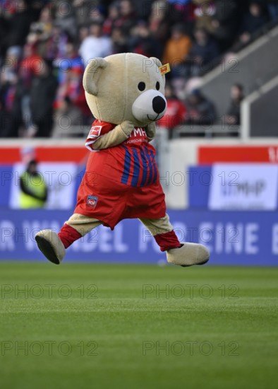 Mascot Paule 1. FC Heidenheim 1846 FCH jumps, air jump, joy, Voith-Arena, Heidenheim, Baden-Württemberg, Germany, Europe