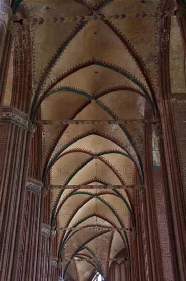Vaults from the side aisle of St Nicholas' Church, late Gothic brick building, built between 1381 and 1487, Wismar, Mecklenburg-Western Pomerania, Germany, Europe