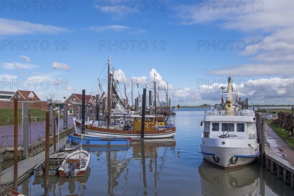 Crab cutters and boats in the harbour of Ditzum, Rheiderland, East Frisia, Lower Saxony, Germany, Europe