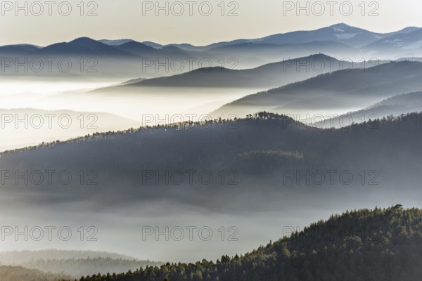 Sea of clouds in the mountains. Bas rhin, Alsace, France, Europe