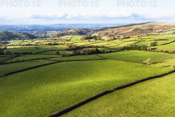 Farms over Black Mountain from a drone, Brecon Beacons National Park, Carmarthenshire, Wales, England, United Kingdom, Europe