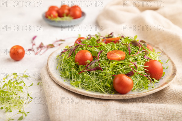 Vegetarian vegetables salad of tomatoes, celery, onion microgreen sprouts on gray concrete background and linen textile. Side view, copy space, selective focus