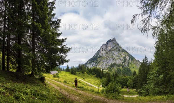 Hiker on the Schartenalm with a view of the Sparber, Osterhorn group, Salzkammergut, Salzburg province, Austria, Europe