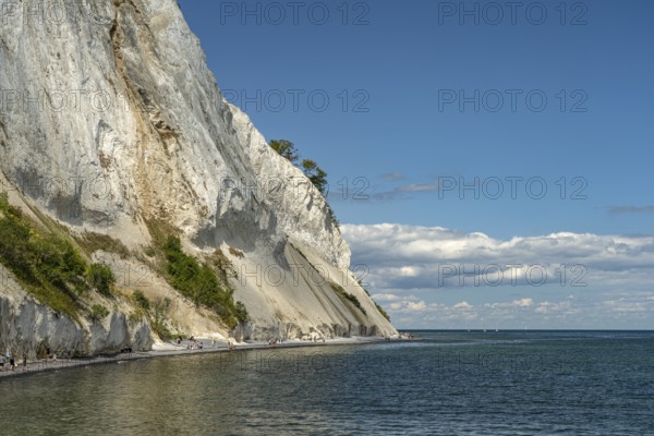 Cliffs and chalk cliffs Møns Klint, Mön Island, Denmark, Europe