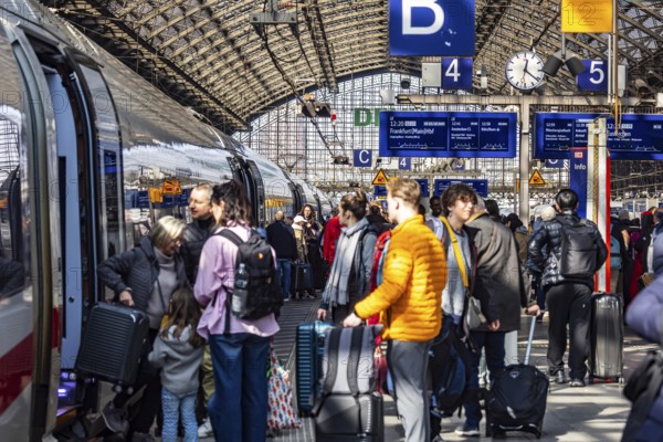 Central station, platform hall with platform and travellers. Cologne, North Rhine-Westphalia, North Rhine-Westphalia, Germany, Europe