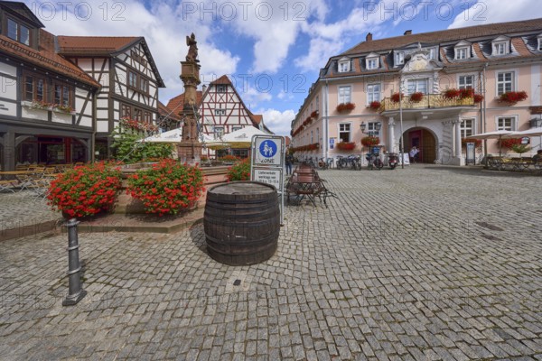 Market fountain on the market square in Michelstadt, Odenwald, Odenwaldkreis, Hesse, Germany, Europe