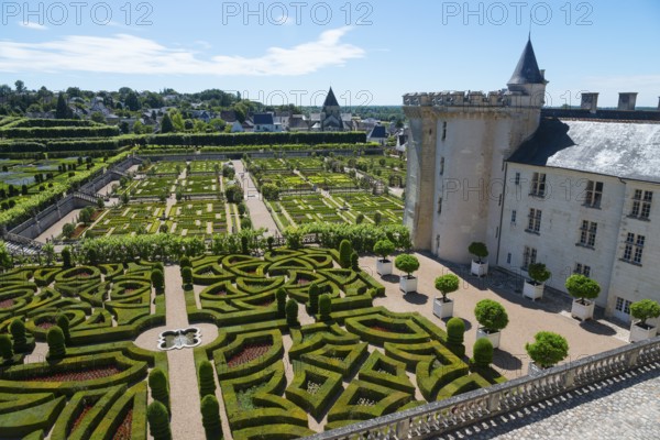 Castle with adjoining, geometrically designed garden with hedges and well-tended paths on a sunny day, Villandry Castle, Renaissance, Tours, Loire Valley, Centre-Val de Loire, France, Europe