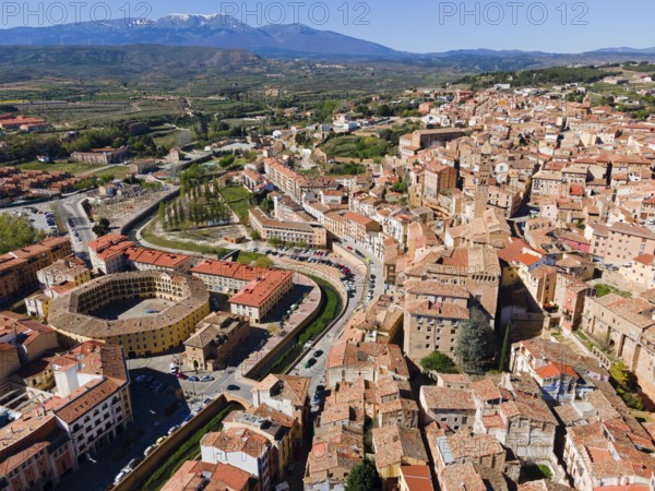 Aerial view of a historic town with tiled roofs and a hilly landscape in the background, aerial view, Plaza de Toros, bullring, Tarazona, Zaragoza, Aragon, Spain, Europe