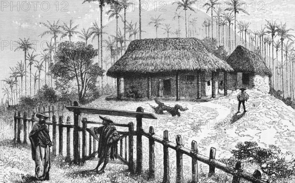 Agriculture of the humid savannahs, Llanos, the northern plains or hill country, small farmers, thatched huts, wooden fence, gate, people, palm trees, travelling, Venezuela and Colombia, historical illustration 18888