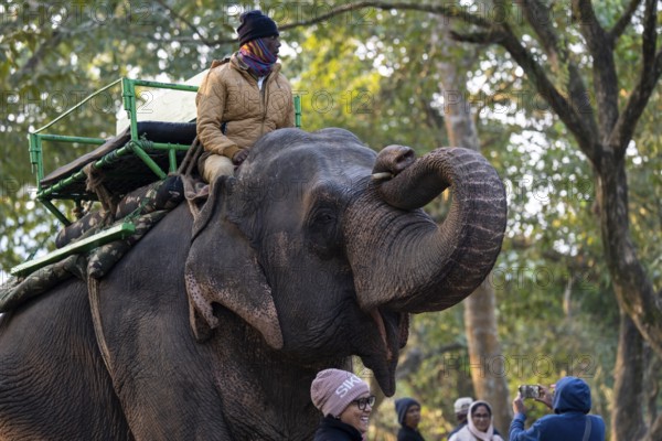Tourists ride elephants during a safari at Kaziranga National Park on December 5, 2024 in Kaziranga, India. Kaziranga National Park, in Assam is a UNESCO World Heritage Site renowned for its biodiversity