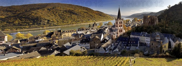 Autumn view of Bacharach on the Rhine with St. Peter's Church, UNESCO World Heritage Upper Middle Rhine Valley, Rhineland-Palatinate, Germany, Europe