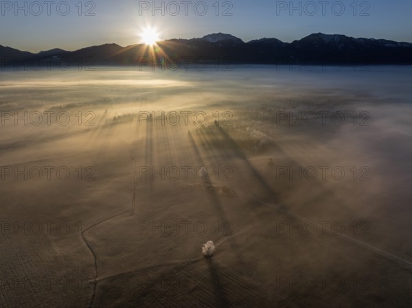 Sunrise, fog, hoarfrost, mountains, winter, backlight, aerial view, Loisach-Lake Kochel moor, behind Benediktenwand, Alpine foothills, Bavaria, Germany, Europe