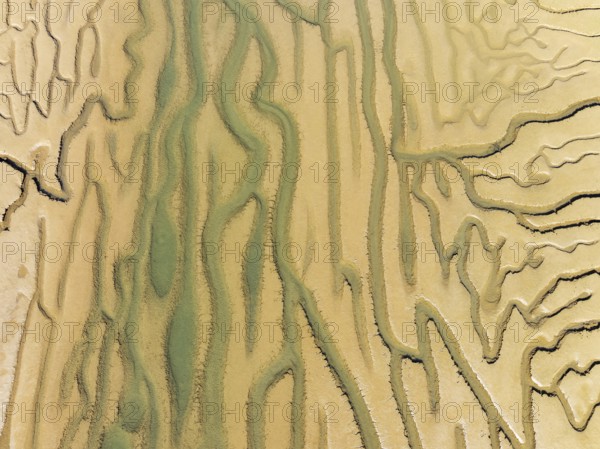 Network of channels and streams at low tide. In the marshland adjacent to the Odiel river. Aerial view. Drone shot. Huelva province, Andalusia, Spain, Europe