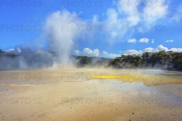 Waiotapu Thermal Wonderland, Waiotapu, Rotorua, Bay of Plenty, North Island, New Zealand, Oceania