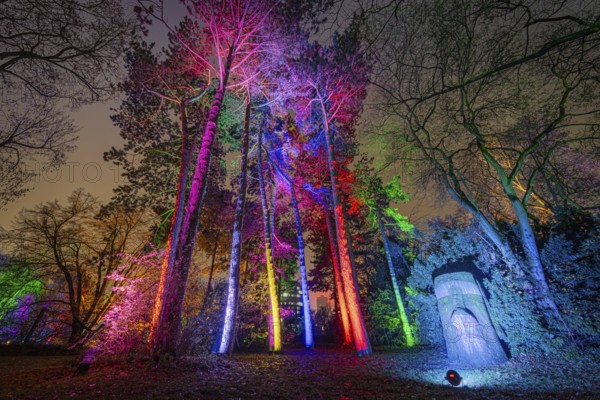 From 9 December 2023 to 14 January 2024, the Palmengarten in Frankfurt am Main will host the Winter Lights for the 11th time. A total of 25 light installations await visitors along a circular route, Palmengarten, Frankfurt am Main, Hesse, Germany, Europe