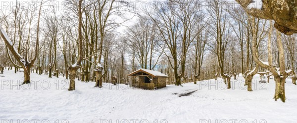 Panoramic view of the refuge next to the trees of the snow-covered Oianleku Natural Park in the town of Oiartzun, next to Peñas de Aya in winter, Gipuzkoa. Basque Country