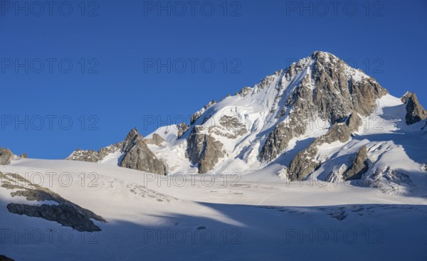 High alpine mountain landscape, summit of the Aiguille de Chardonnet and Glacier du Tour, glaciers and mountain peaks, Chamonix, Haute-Savoie, France, Europe