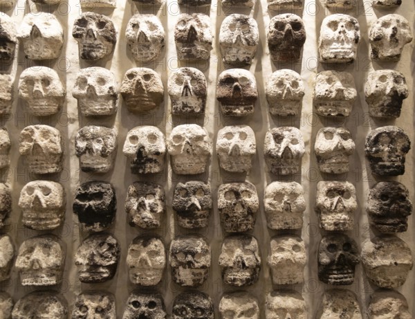 Wall of stone human skulls, archaeological site and museum of Templo Mayor, Mexico City, Mexico, Central America