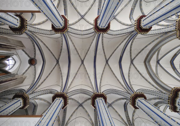 View of the ribbed vault of the Namen-Jesu-Kirche, Bonn, North Rhine-Westphalia, Germany, Europe