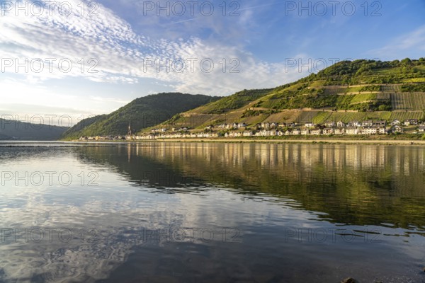 View over the Rhine to Lorch, Rheingau, World Heritage Site Upper Middle Rhine Valley, Hesse, Germany, Europe