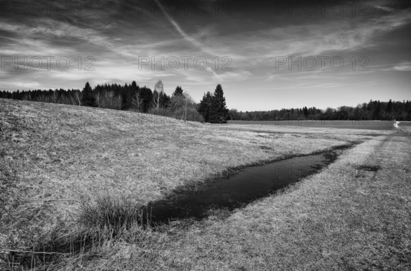 Water basin, wetland, black and white, Weiherwiesen nature reserve, Essingen, Swabian Alb, Baden-Württemberg, Germany, Europe