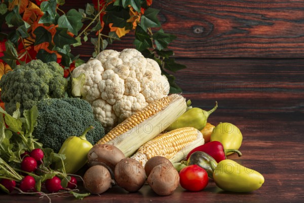 Fresh vegetables, colourful peppers, corn on the corn cob, cauliflower, broccoli, radishes and mushrooms